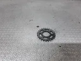 Timing chain sprocket