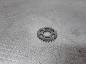 Timing chain sprocket