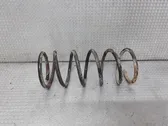 Front coil spring