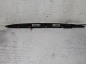 Trunk door license plate light bar