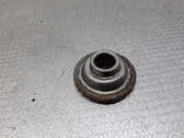 Coil spring mount