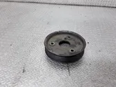 Power steering pump pulley