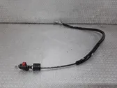 Ignition lock cable