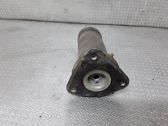 Coil spring mount