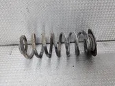 Rear coil spring