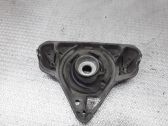 Coil spring mount