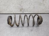 Feder hinten