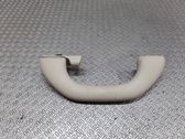 Rear interior roof grab handle