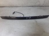 Trunk door license plate light bar