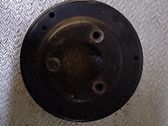 Polea de la bomba de agua