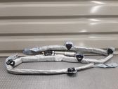 Roof airbag