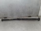 Drive shaft (set)