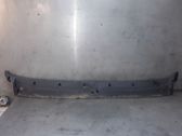 Moldura del limpia