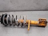 Front shock absorber with coil spring