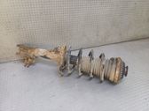 Front shock absorber with coil spring
