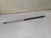 Tailgate/trunk strut/damper
