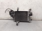 Intercooler radiator