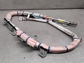 Roof airbag