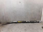 Roof airbag