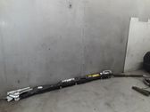 Roof airbag