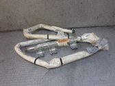 Airbag del techo
