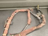 Roof airbag