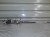 Cinturón de la tercera fila de asientos