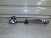 Cinturón trasero