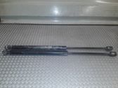 Tailgate/trunk strut/damper