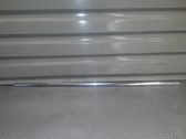 Listón embellecedor de la ventana de la puerta trasera