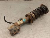 Front shock absorber with coil spring
