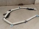 Roof airbag