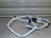 Roof airbag