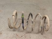 Rear coil spring