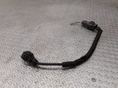 Detonation knock sensor