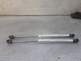 Front bonnet/hood damper/strut