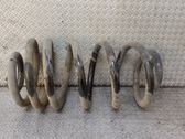 Rear coil spring