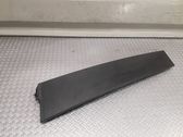 Rear door glass trim molding