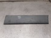 Front door trim (molding)