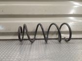 Feder hinten
