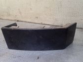 Rear/tail light trim molding