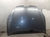 Motorhaube