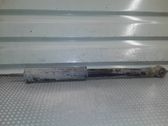 Stoßdämpfer hinten