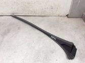 Windshield trim