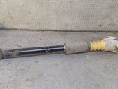 Rear shock absorber/damper