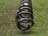 Rear coil spring