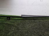 Panel trim