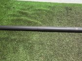 Tailgate/trunk strut/damper