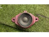 Panel speaker