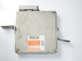 Engine control unit/module ECU